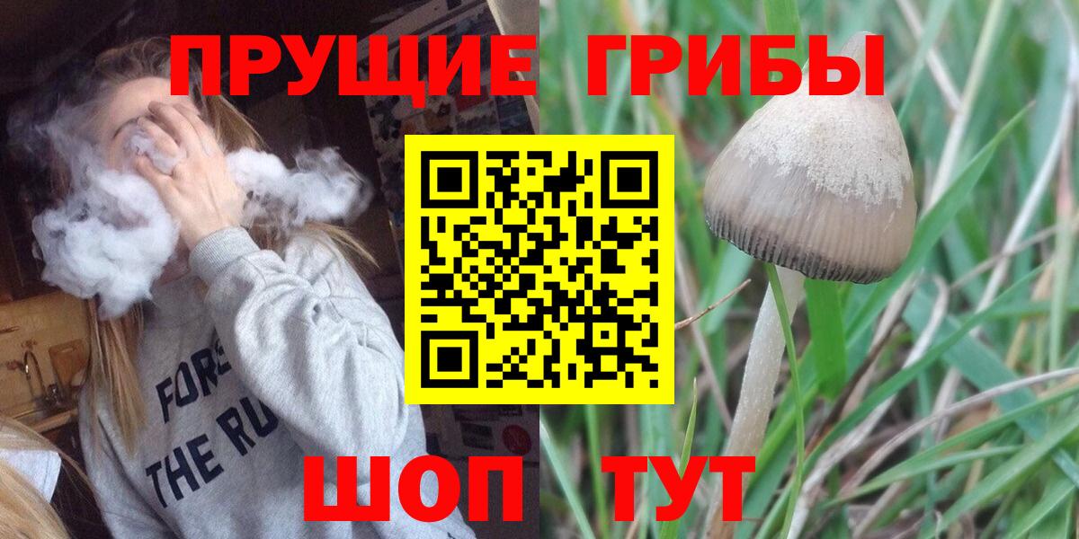 Похвистнево  Галлюциногенные грибы GOLDEN TEACHER  Вход с VPN 